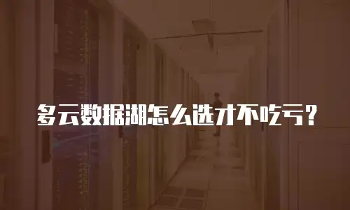多云数据湖怎么选才不吃亏？