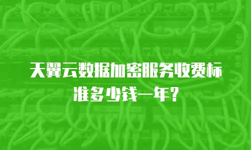 天翼云数据加密服务收费标准多少钱一年？