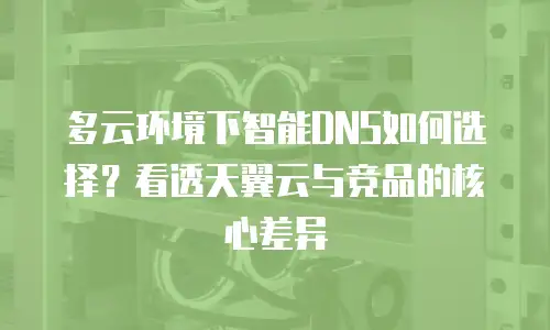 多云环境下智能DNS如何选择？看透天翼云与竞品的核心差异