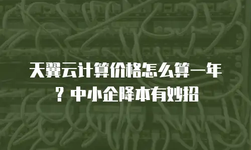 天翼云计算价格怎么算一年？中小企降本有妙招