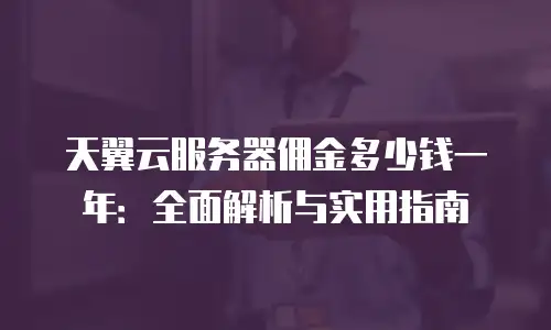 天翼云服务器佣金多少钱一年：全面解析与实用指南