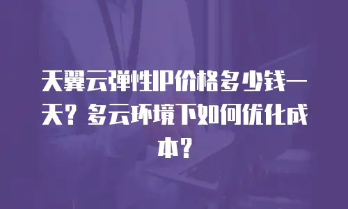 天翼云弹性IP价格多少钱一天？多云环境下如何优化成本？
