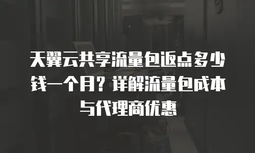 天翼云共享流量包返点多少钱一个月？详解流量包成本与代理商优惠