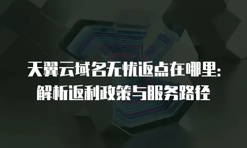 天翼云域名无忧返点在哪里：解析返利政策与服务路径