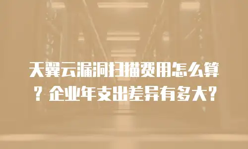 天翼云漏洞扫描费用怎么算？企业年支出差异有多大？