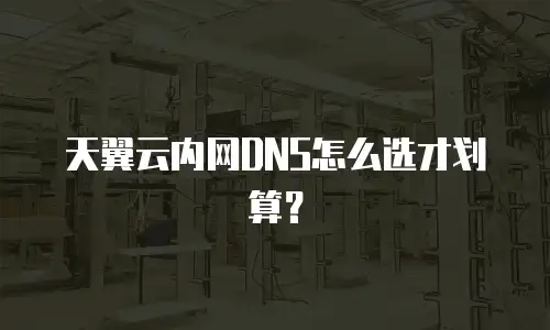 天翼云内网DNS怎么选才划算？