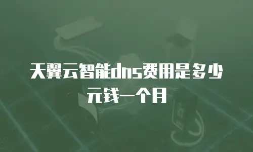 天翼云智能dns费用是多少元钱一个月