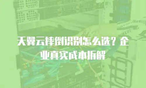 天翼云摔倒识别怎么选？企业真实成本拆解