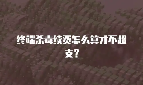 终端杀毒续费怎么算才不超支？