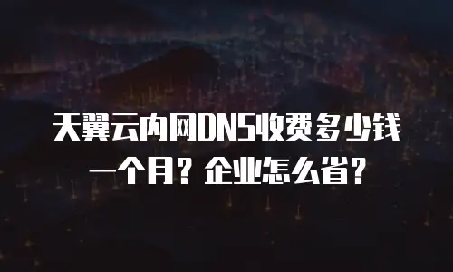 天翼云内网DNS收费多少钱一个月？企业怎么省？