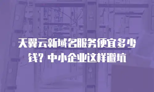 天翼云新域名服务便宜多少钱？中小企业这样避坑