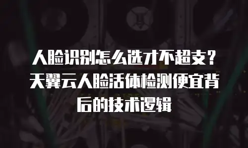 人脸识别怎么选才不超支？天翼云人脸活体检测便宜背后的技术逻辑