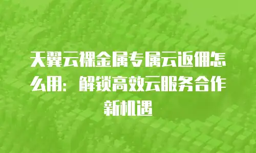 天翼云裸金属专属云返佣怎么用：解锁高效云服务合作新机遇