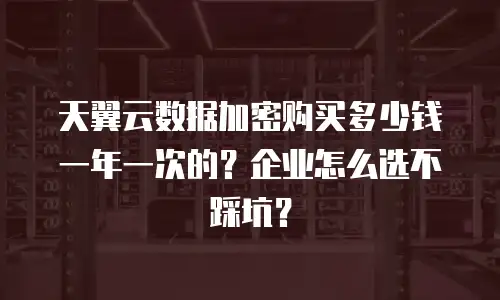 天翼云数据加密购买多少钱一年一次的？企业怎么选不踩坑？