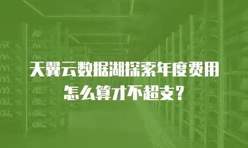 天翼云数据湖探索年度费用怎么算才不超支？