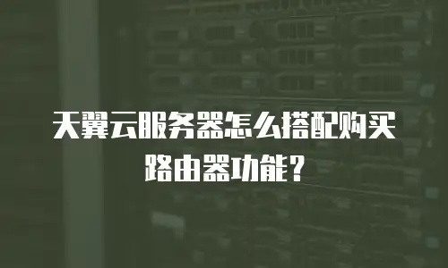 天翼云服务器怎么搭配购买路由器功能？