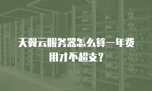 天翼云服务器怎么算一年费用才不超支？
