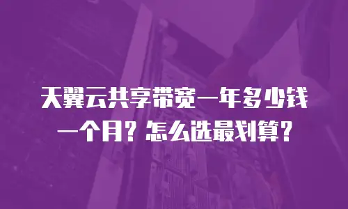 天翼云共享带宽一年多少钱一个月？怎么选最划算？
