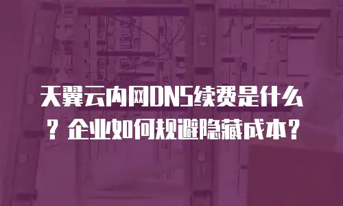 天翼云内网DNS续费是什么？企业如何规避隐藏成本？