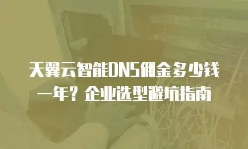 天翼云智能DNS佣金多少钱一年？企业选型避坑指南