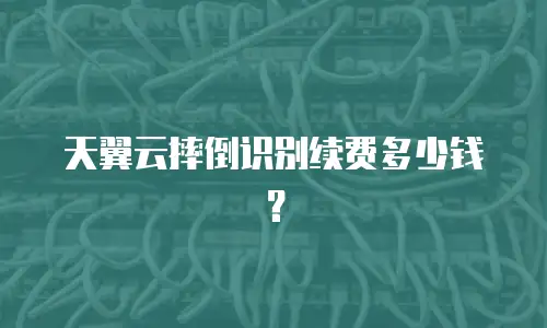天翼云摔倒识别续费多少钱？