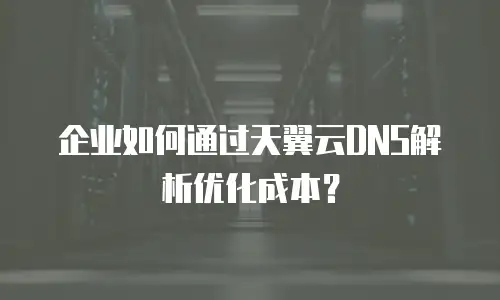 企业如何通过天翼云DNS解析优化成本？