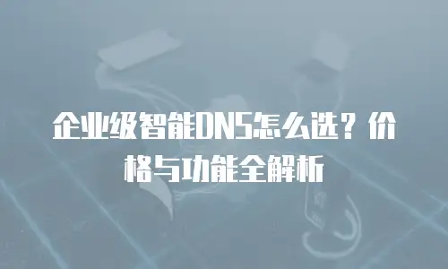 企业级智能DNS怎么选？价格与功能全解析