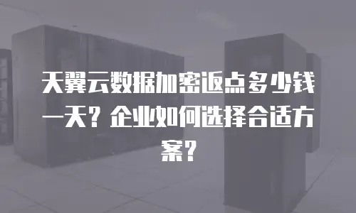 天翼云数据加密返点多少钱一天？企业如何选择合适方案？