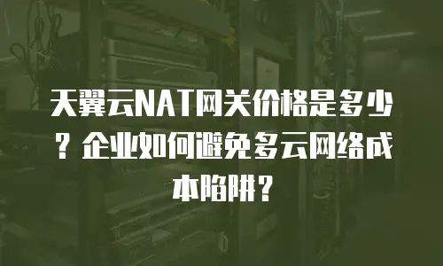 天翼云NAT网关价格是多少？企业如何避免多云网络成本陷阱？