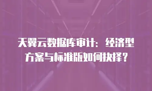 天翼云数据库审计：经济型方案与标准版如何抉择？