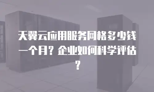 天翼云应用服务网格多少钱一个月？企业如何科学评估？