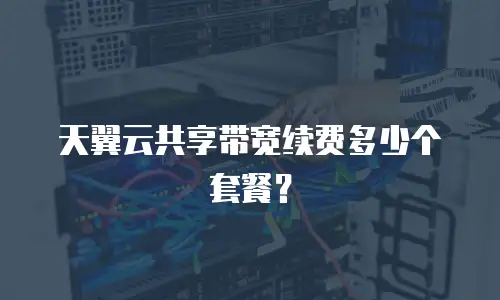 天翼云共享带宽续费多少个套餐？