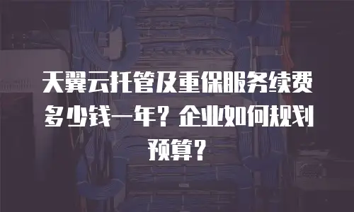 天翼云托管及重保服务续费多少钱一年？企业如何规划预算？