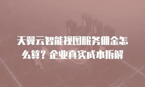 天翼云智能视图服务佣金怎么算？企业真实成本拆解