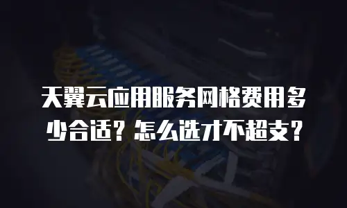 天翼云应用服务网格费用多少合适？怎么选才不超支？