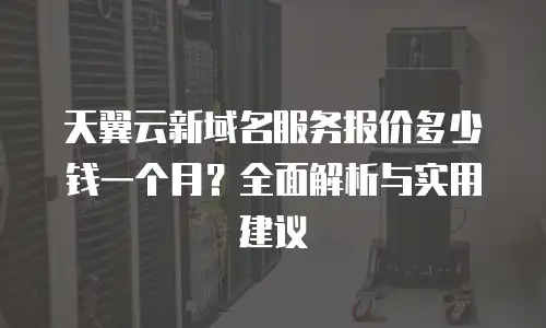 天翼云新域名服务报价多少钱一个月？全面解析与实用建议
