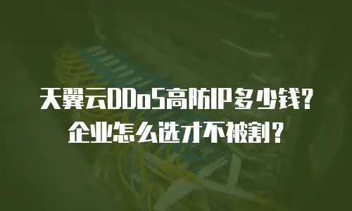 天翼云DDoS高防IP多少钱？企业怎么选才不被割？