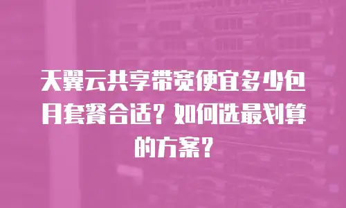 天翼云共享带宽便宜多少包月套餐合适？如何选最划算的方案？