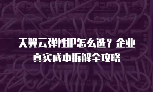 天翼云弹性IP怎么选？企业真实成本拆解全攻略
