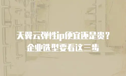 天翼云弹性ip便宜还是贵？企业选型要看这三步