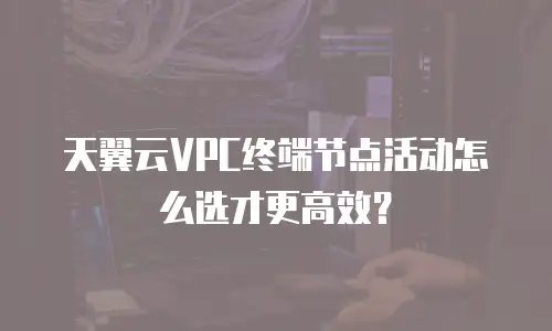 天翼云VPC终端节点活动怎么选才更高效？