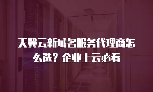 天翼云新域名服务代理商怎么选？企业上云必看