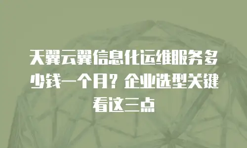 天翼云翼信息化运维服务多少钱一个月？企业选型关键看这三点