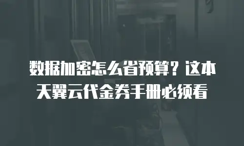 数据加密怎么省预算？这本天翼云代金券手册必须看