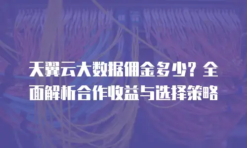 天翼云大数据佣金多少？全面解析合作收益与选择策略