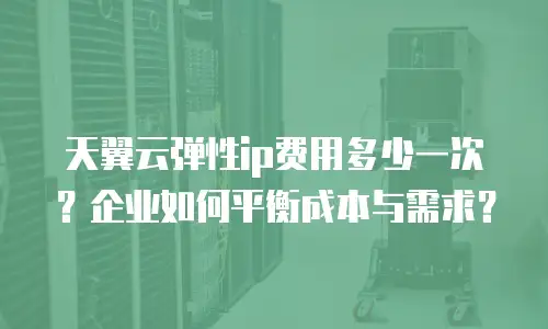 天翼云弹性ip费用多少一次？企业如何平衡成本与需求？
