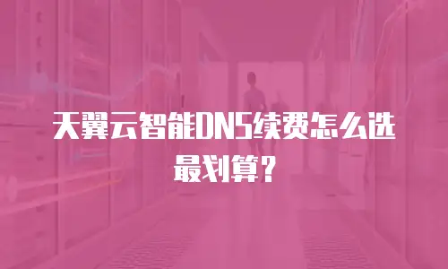 天翼云智能DNS续费怎么选最划算？
