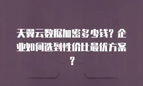 天翼云数据加密多少钱？企业如何选到性价比最优方案？