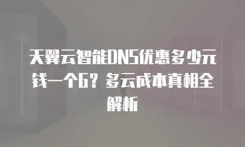 天翼云智能DNS优惠多少元钱一个G？多云成本真相全解析