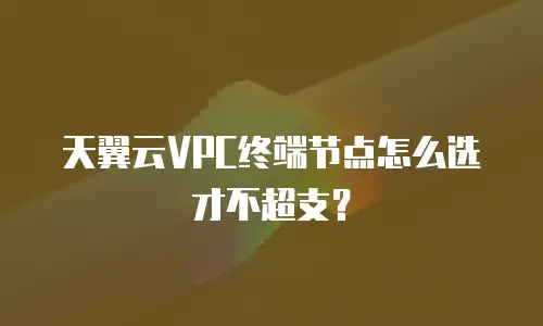 天翼云VPC终端节点怎么选才不超支？
